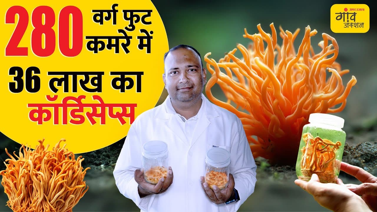 Mirzapur के किसान ने बदली किस्मत: कमरे में उगाई ₹3 लाख किलो वाली कीड़ा जड़ी | Gaon Junction LIVE