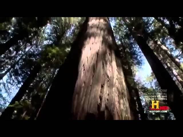 The Entire History of the Earth and Mankind Full Documentary