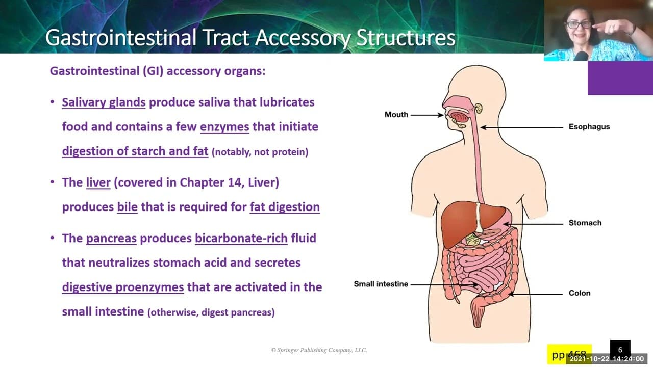 Ch13 GI Tract Part 1