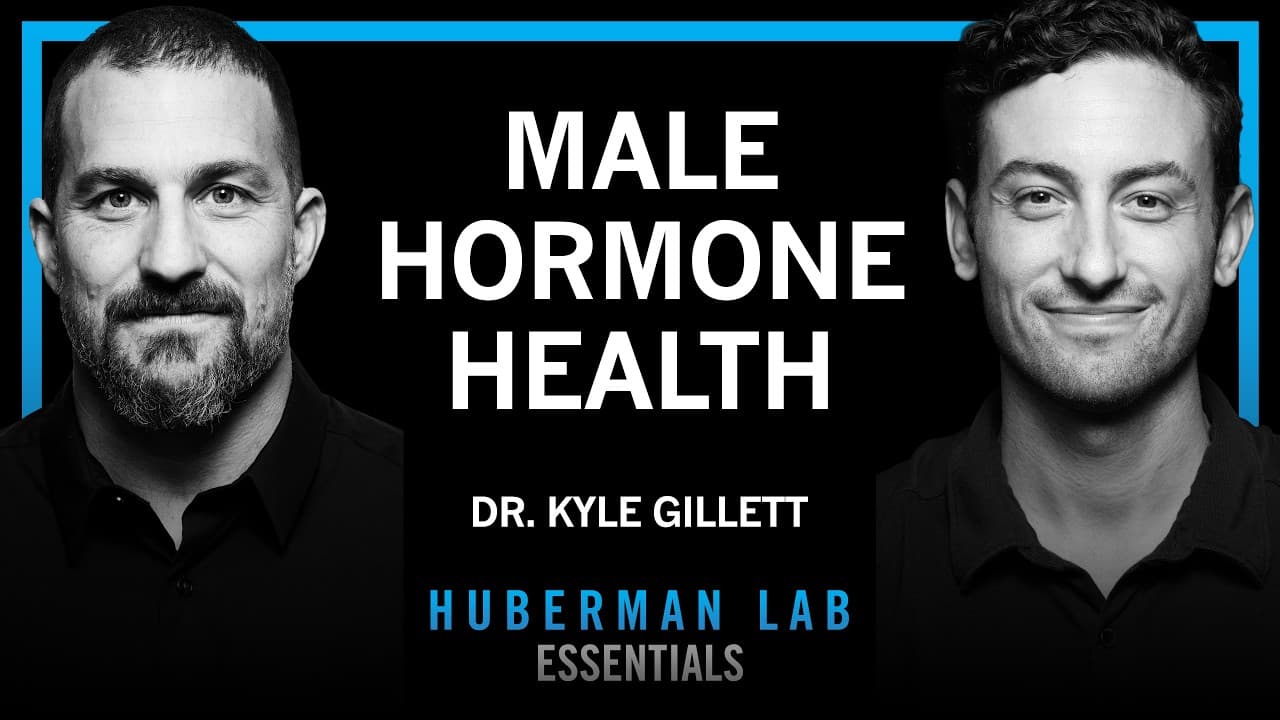 Essentials: Tools for Hormone Optimization in Males | Dr. Kyle Gillett