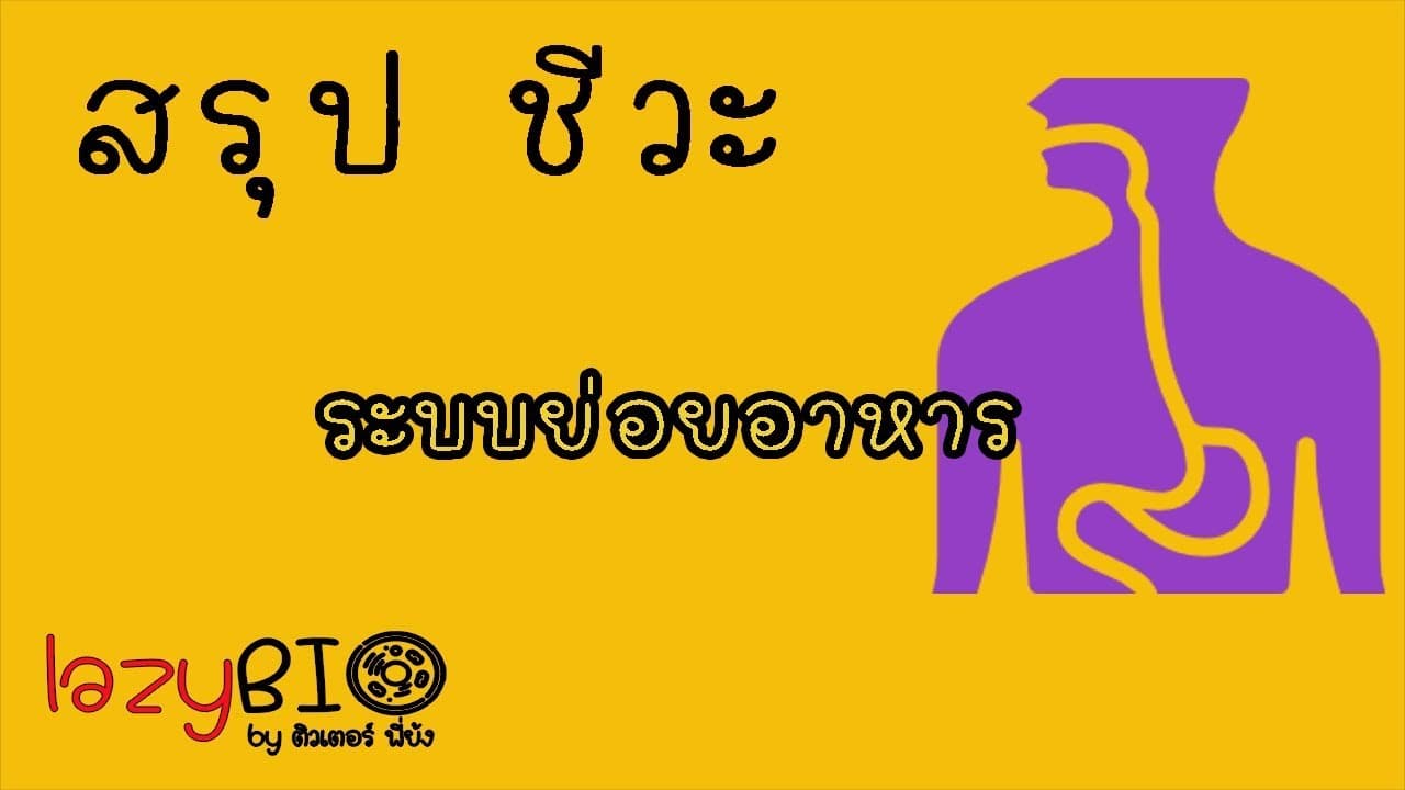 สรุปชีวะ ระบบย่อยอาหาร