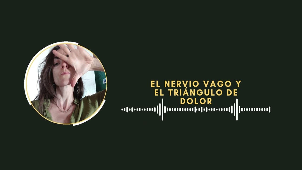 BRUXISMO y NERVIO VAGO: ¿Por qué tu mandíbula no se relaja? (El Triángulo del Dolor)
