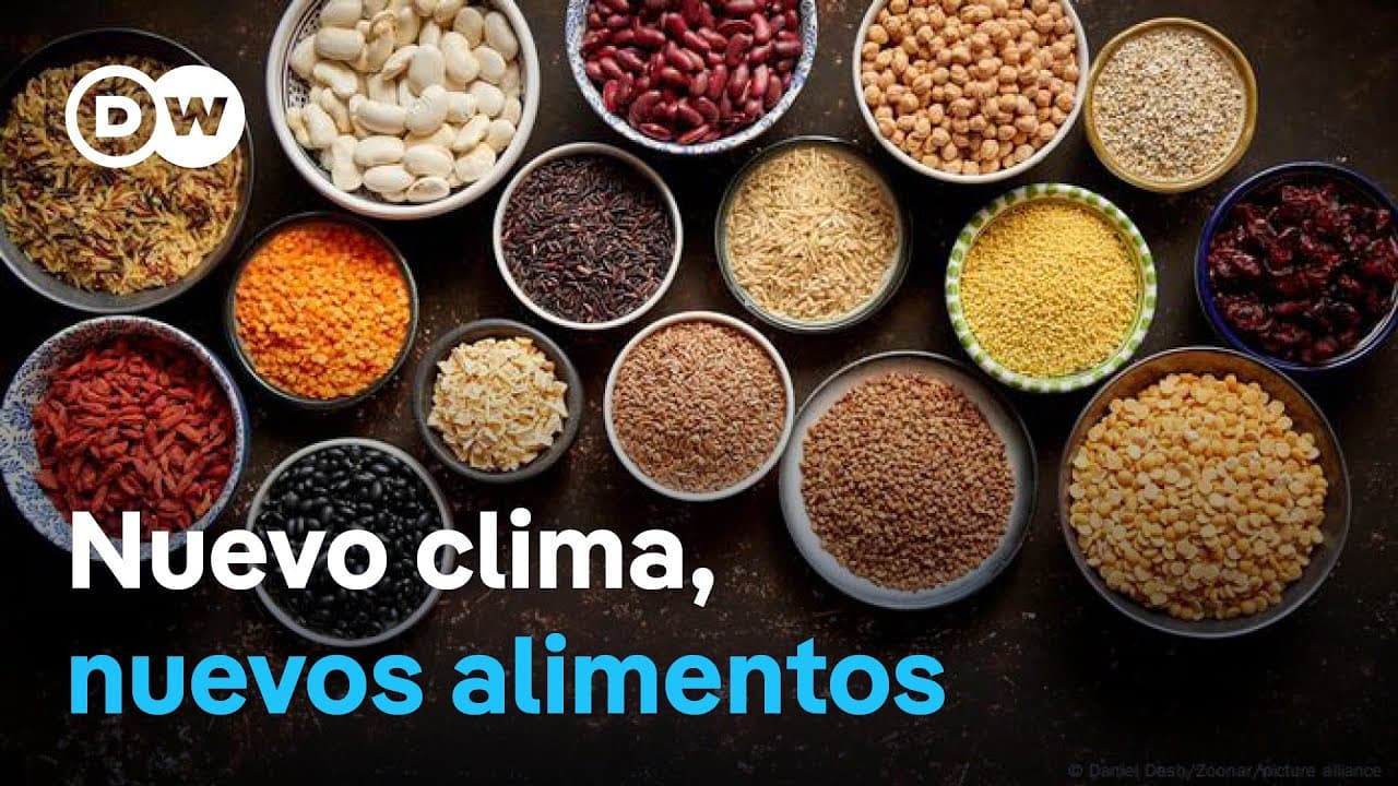 Nuevos cultivos: producción de alimentos y cambio climático