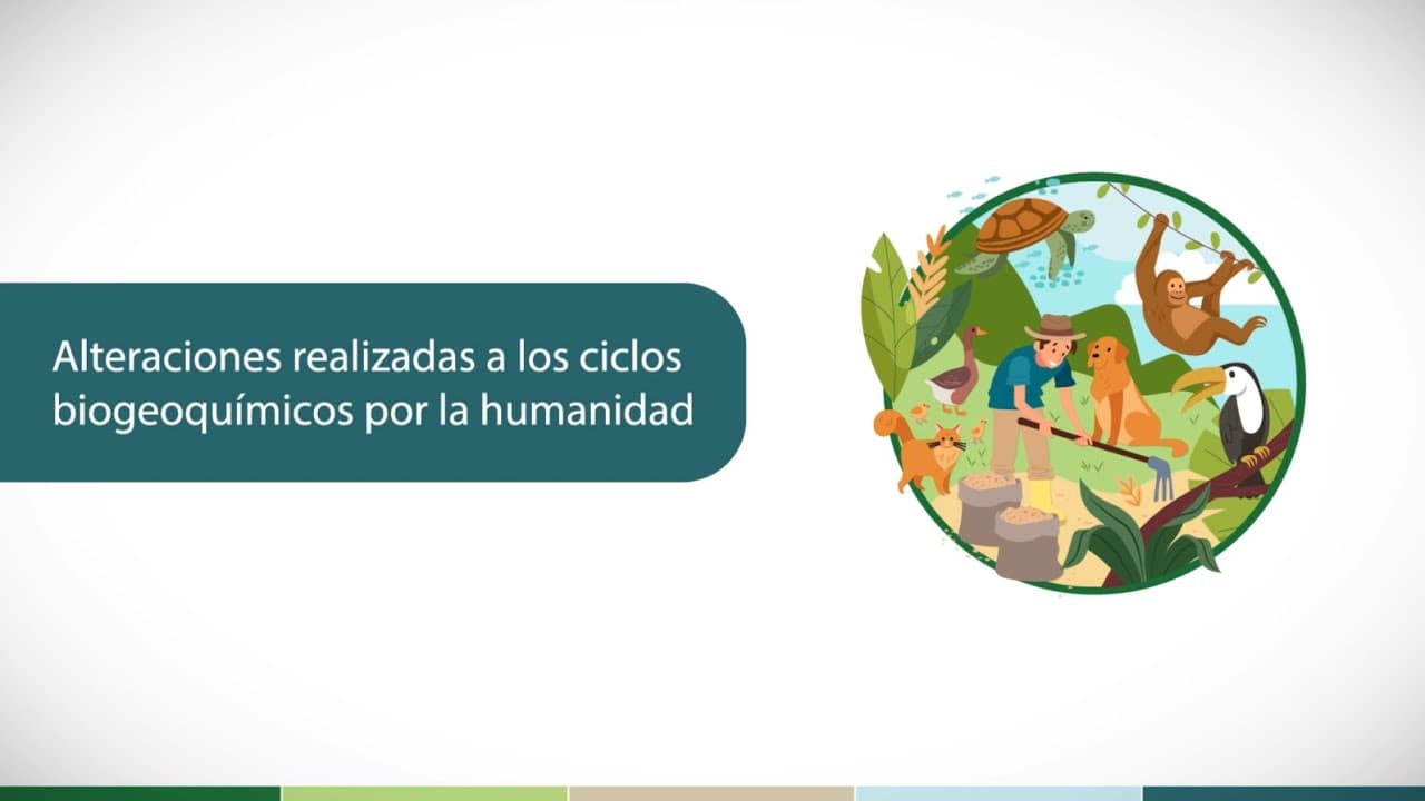 Alteraciones realizadas a los ciclos biogeoquímicos por la humanidad