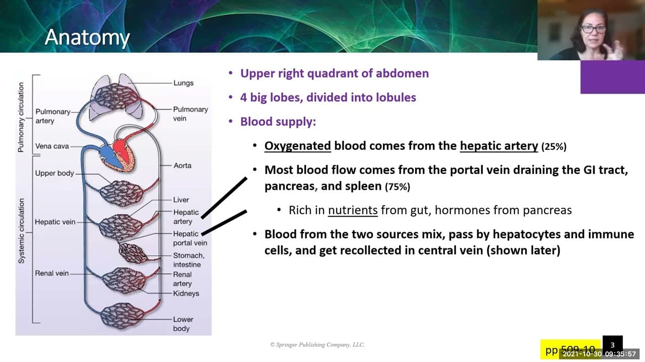 Ch 14 Liver Part 1